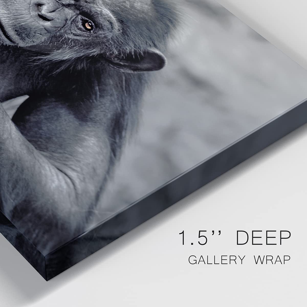 Captivating Monkey Canvas Wall Art - Modern 24