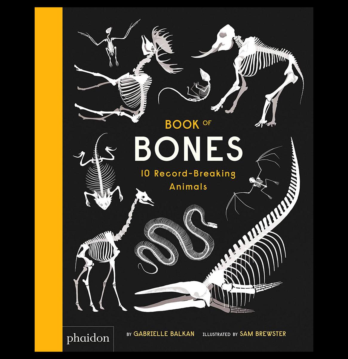 Book of Bones - Interactive Skeleton Anatomy Guide for Kids | Perfect for Halloween, Science Class & Educational Play