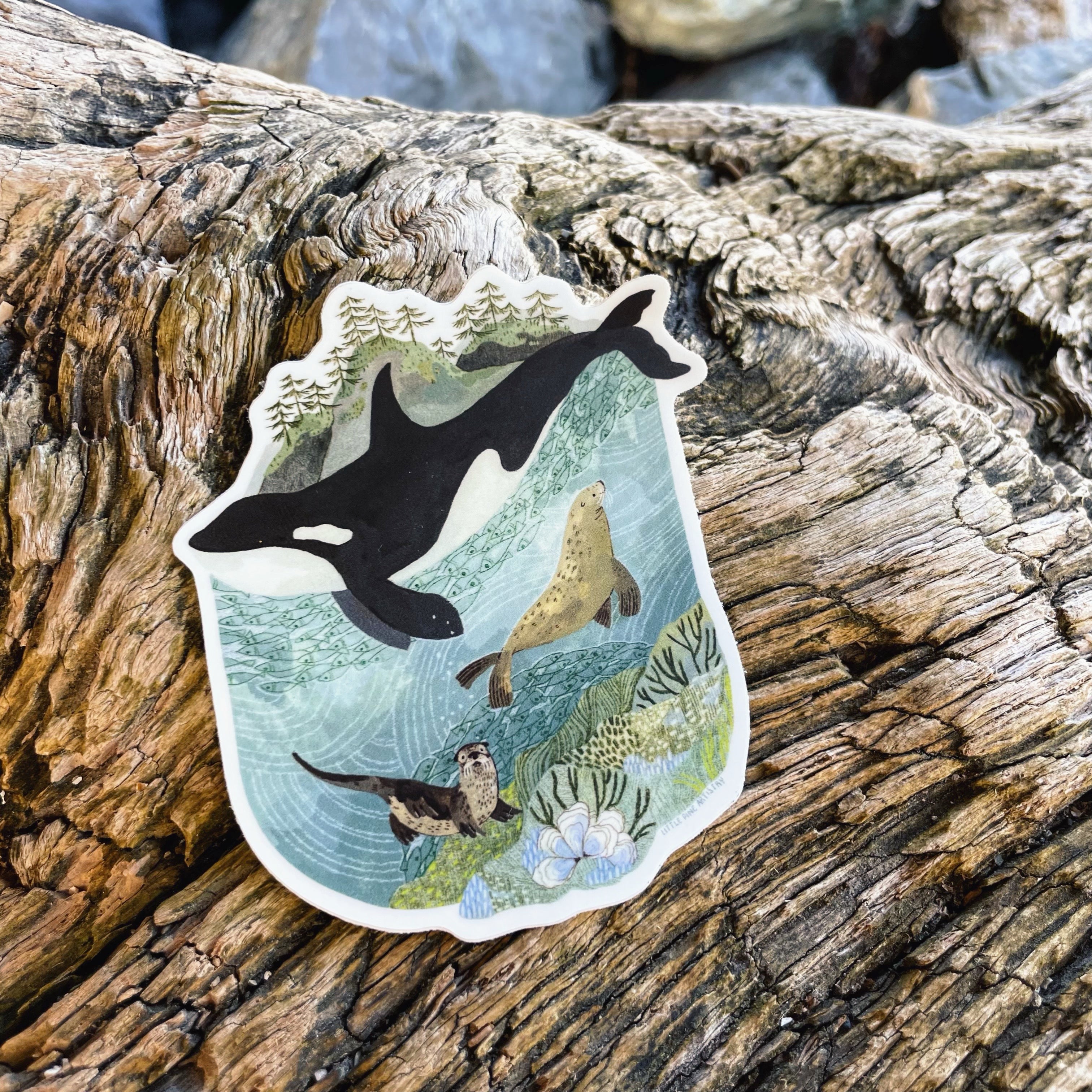 San Juan Orca Sticker - Waterproof Vinyl Decal for Laptops, Cars, Windows | Marine Wildlife Lover Gift, Whale Themed Decor