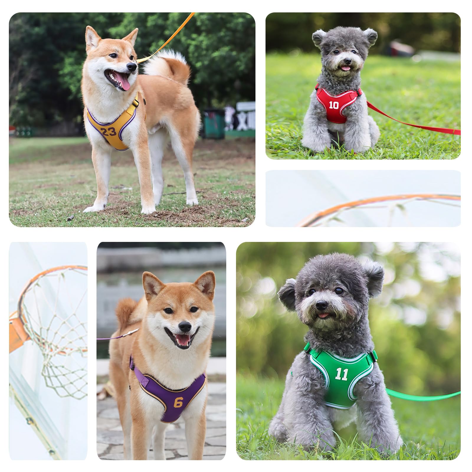 KCUCOP Step-in Dog Harness for Small & Medium Dogs - No-Choke Design, Soft Mesh Padding, Comfortable Walking & Training - Includes Leash (Green, XS) - Perfect for Daily Walks, Hiking & Outdoor Adventures