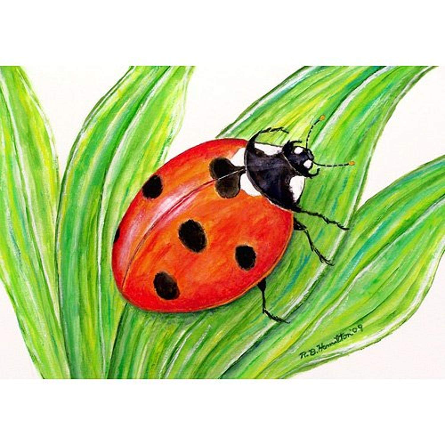 Betsy Drake DM457 Garden Lady Bug Door Mat - 18