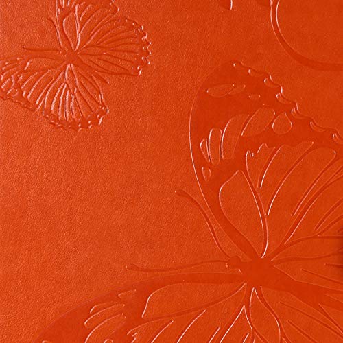 01# Orange Butterfly