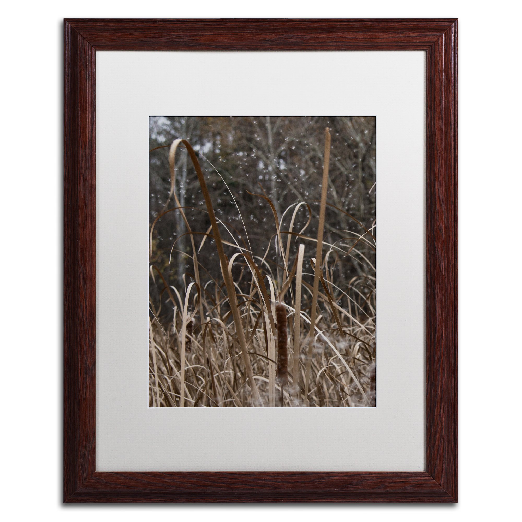 Kurt Shaffer Cattail Seeds in Flight Wall Art - 16x20 Inch Wood Frame with White Matte - Nature-Inspired Home Decor for Living Room, Bedroom & Office