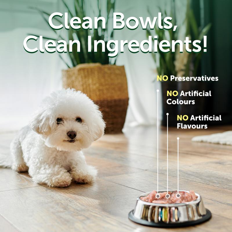 Premium Wet Dog Food for Adult Dogs - All Breeds, Tuna & Sea Bass Recipe, 24 Pack - High Protein Meal for Healthy Skin & Coat, Perfect for Picky Eaters & Senior Dogs