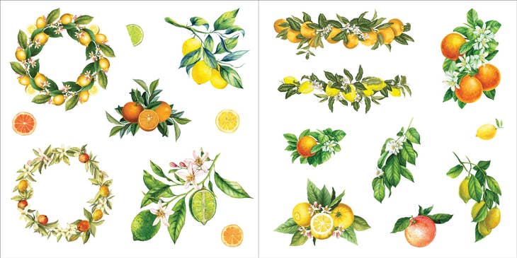Bunches of Botanicals Sticker Book - 500 Unique Floral Stickers for Scrapbooking, Journaling & DIY Crafts | Perfect for Bullet Journals, Planners & Gift Decorations