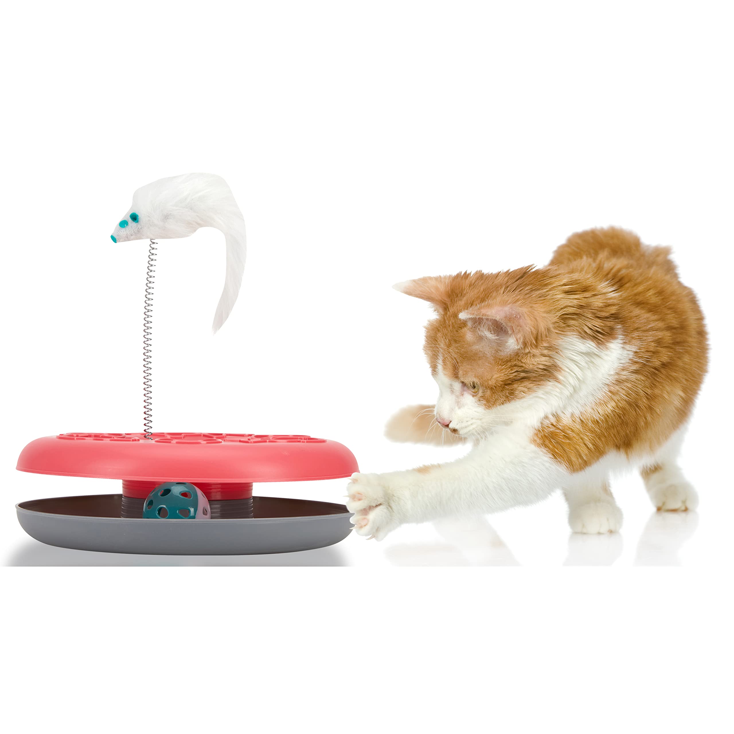 Animal Planet Chase Cat Toys - Interactive Kitten Toys for Indoor Exercise & Mental Stimulation | Encourages Natural Hunting Instincts | Perfect for Playtime, Training & Bonding with Your Cat