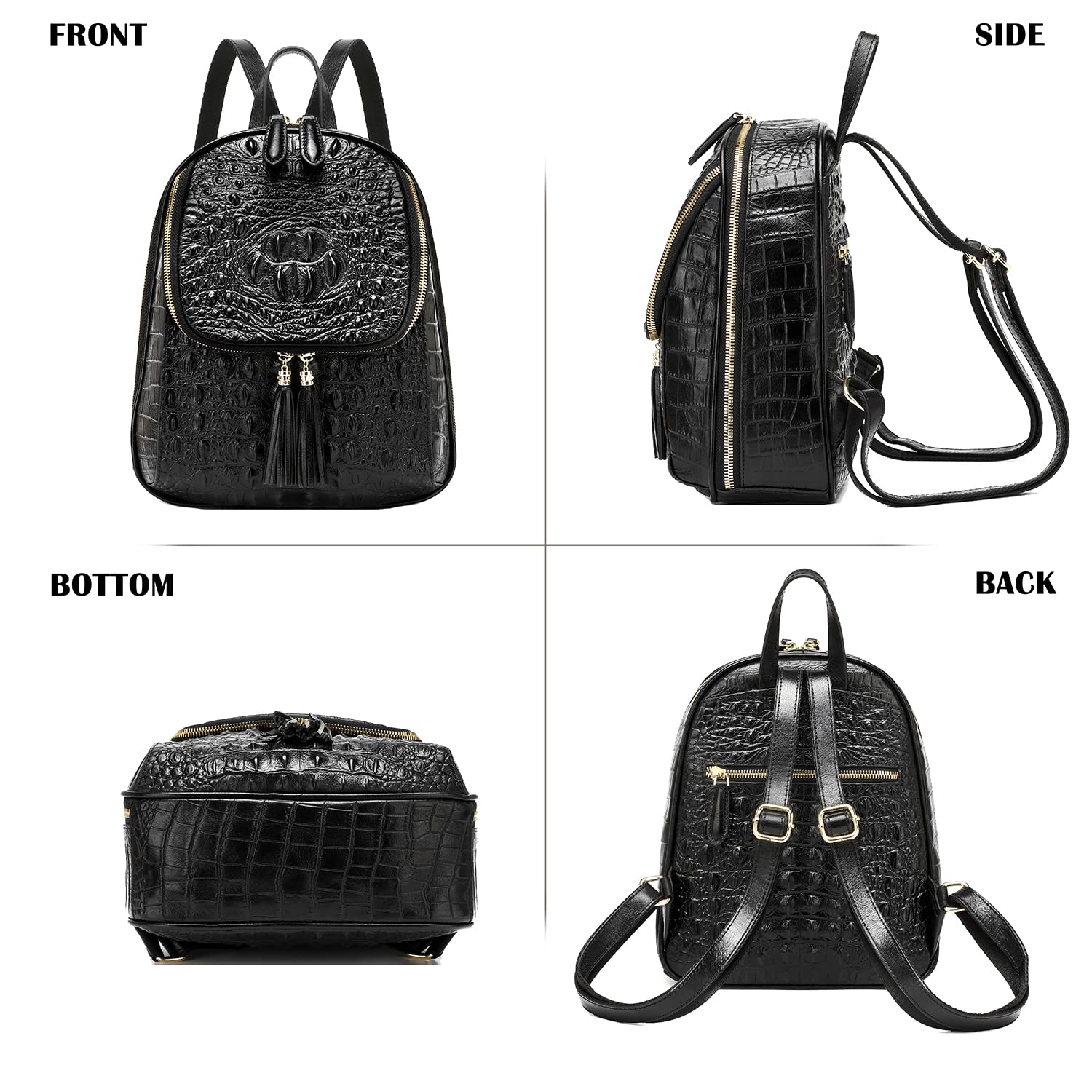 Stylish COOLCY Small Crocodile Leather Backpack Purse for Women - Designer Fashion Handbag (Black) | Perfect for Work, Travel & Daily Use