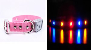 Red Blue Orange LED Flashing Dog Collar - Light Up Safety Pet Collar for Night Walking, Jogging & Outdoor Adventures (Gala Pink)