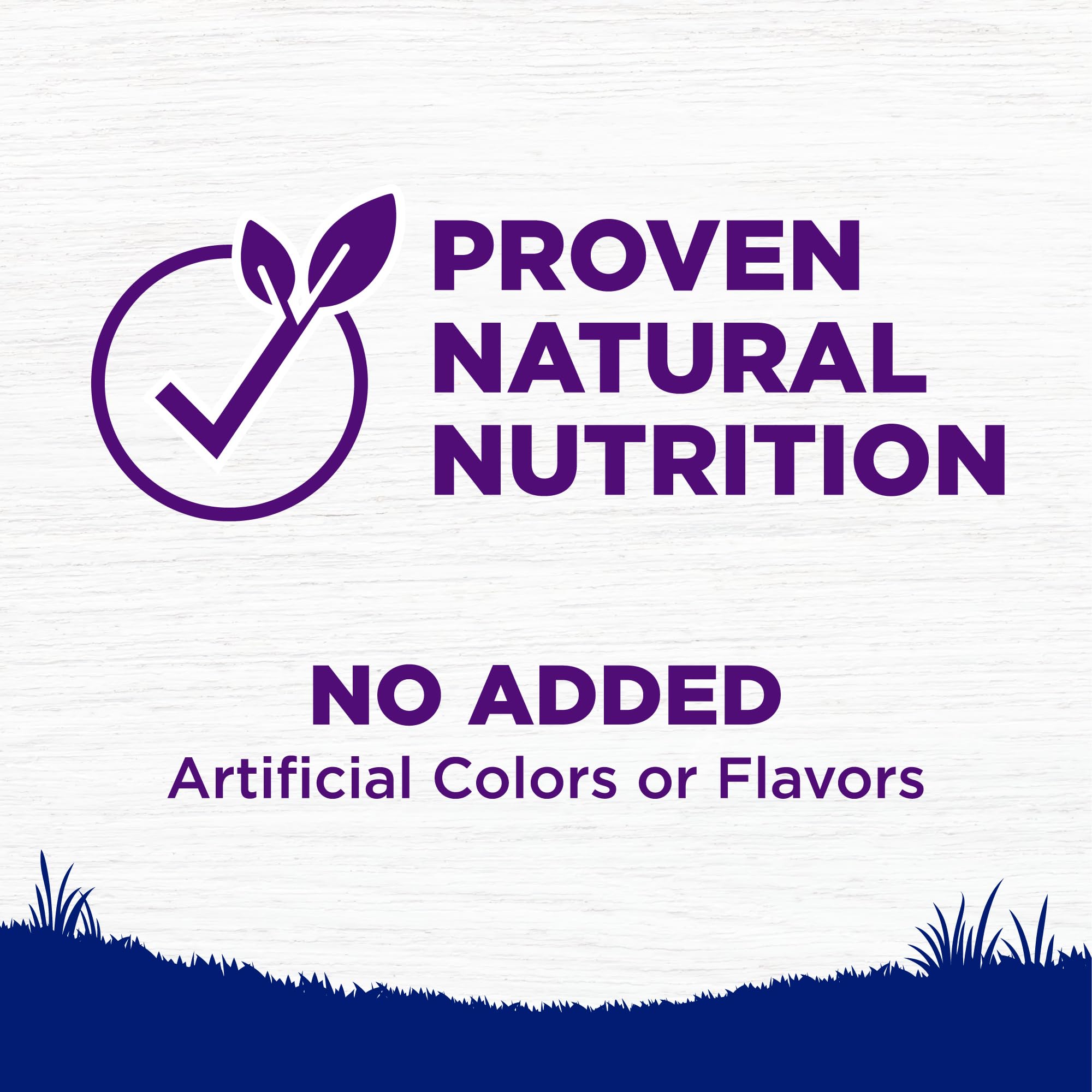 Wellness Complete Health Natural Dry Dog Food for Large Breeds - Chicken & Brown Rice Recipe with Wholesome Grains (30 lb Bag) | High Protein Adult Dog Food for Joint Health & Digestion | Perfect for Active Dogs & Daily Nutrition
