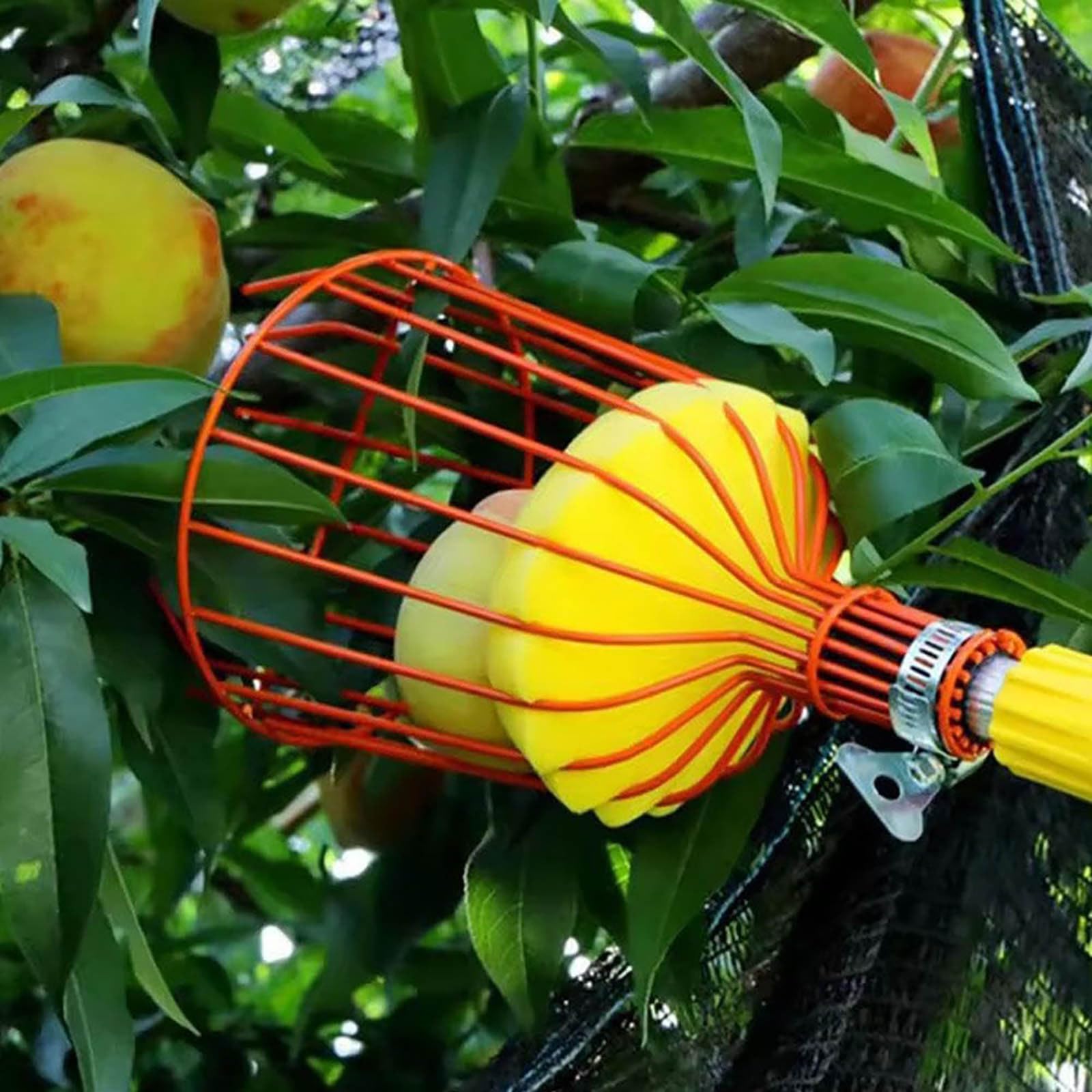 **Twist-On Fruit Picker Basket with Cushion - Lightweight Harvesting Tool for Apples, Oranges, Plums, Lemons & Avocados - Easy to Use for Home Garden, Orchard & Farm (Pole Not Included, 1PCS)**