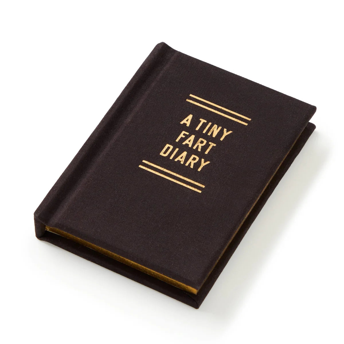 Funny Tiny Fart Diary Notebook - Cute Mini Journal for Kids & Adults - Perfect for Gag Gifts, Prank Ideas & Bathroom Humor