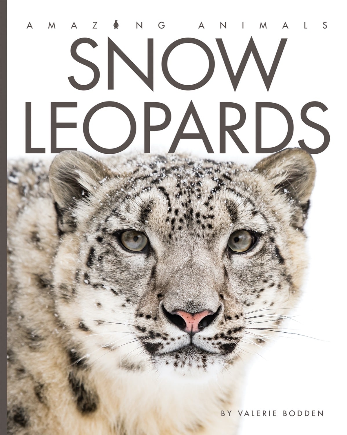Amazing Animals (2014): Snow Leopards - Wildlife Documentary Film for Nature Lovers & Educational Use in Schools