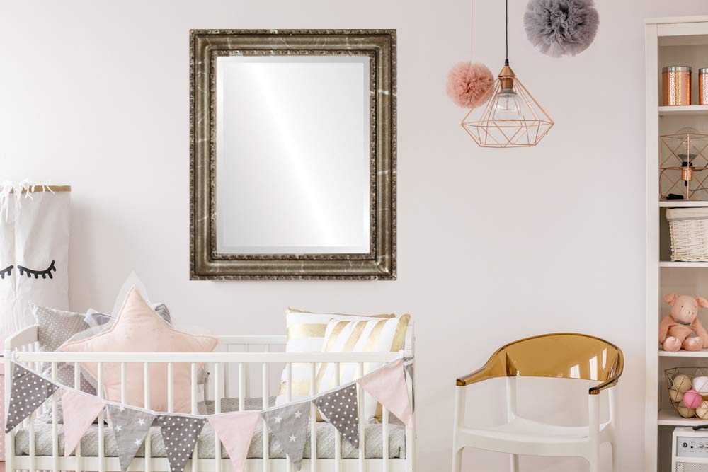 OVALCREST Rectangle Beveled Wall Mirror - Dorset Style Champagne Silver 22x28 Inches - Elegant Home Decor for Living Room, Bedroom & Entryway