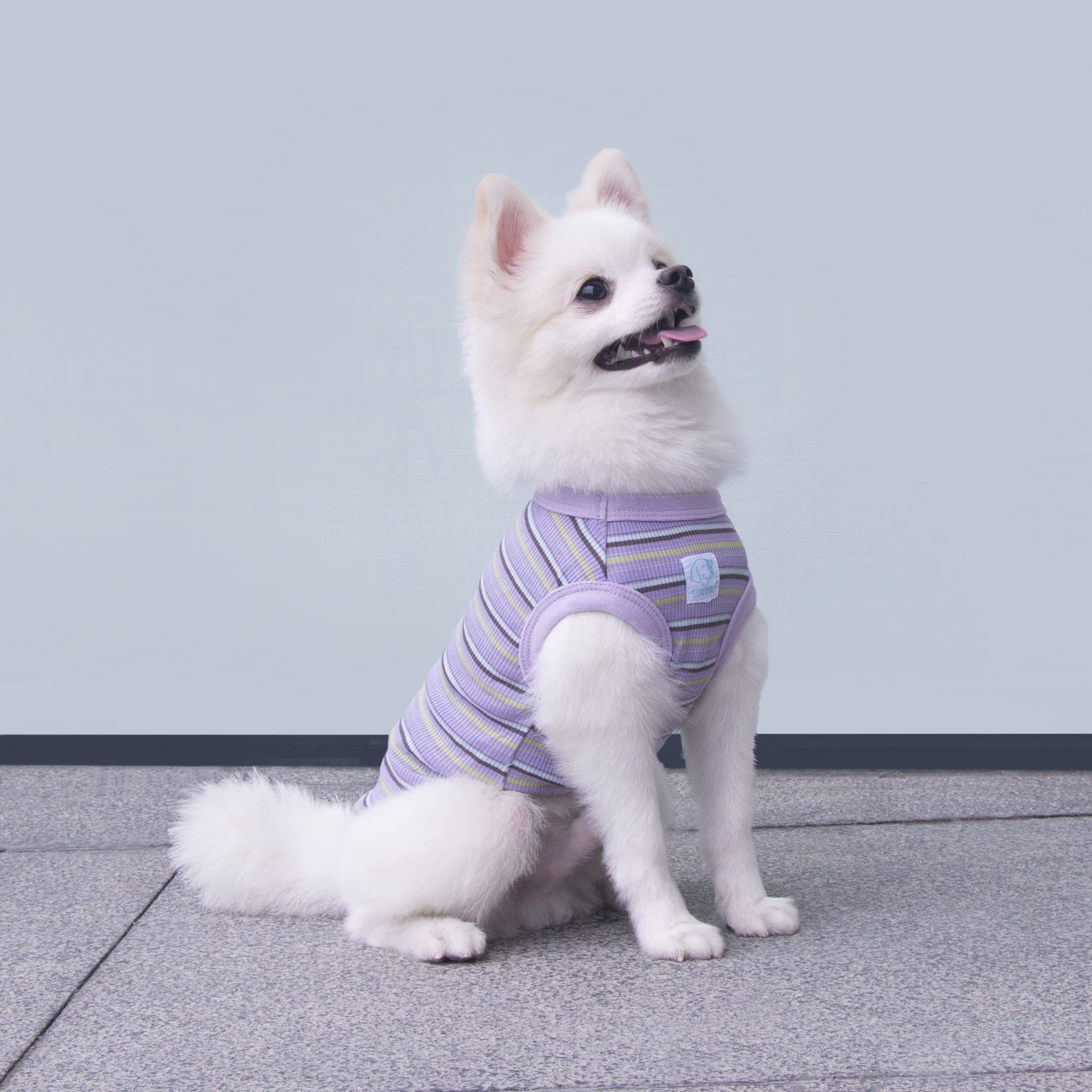 Striped Pet Dog T-Shirts - 100% Cotton Sleeveless Tank Vest for Small Dogs & Cats | Chihuahua, Yorkie Puppy Clothes in X-Small (Purple) | Perfect for Summer Walks, Indoor Play & Pet Fashion