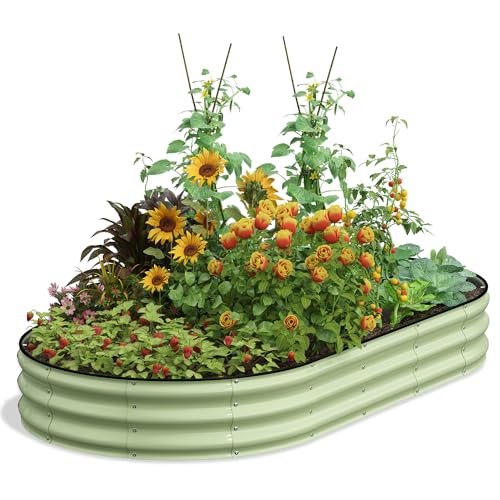 8x4x1 Sage Green