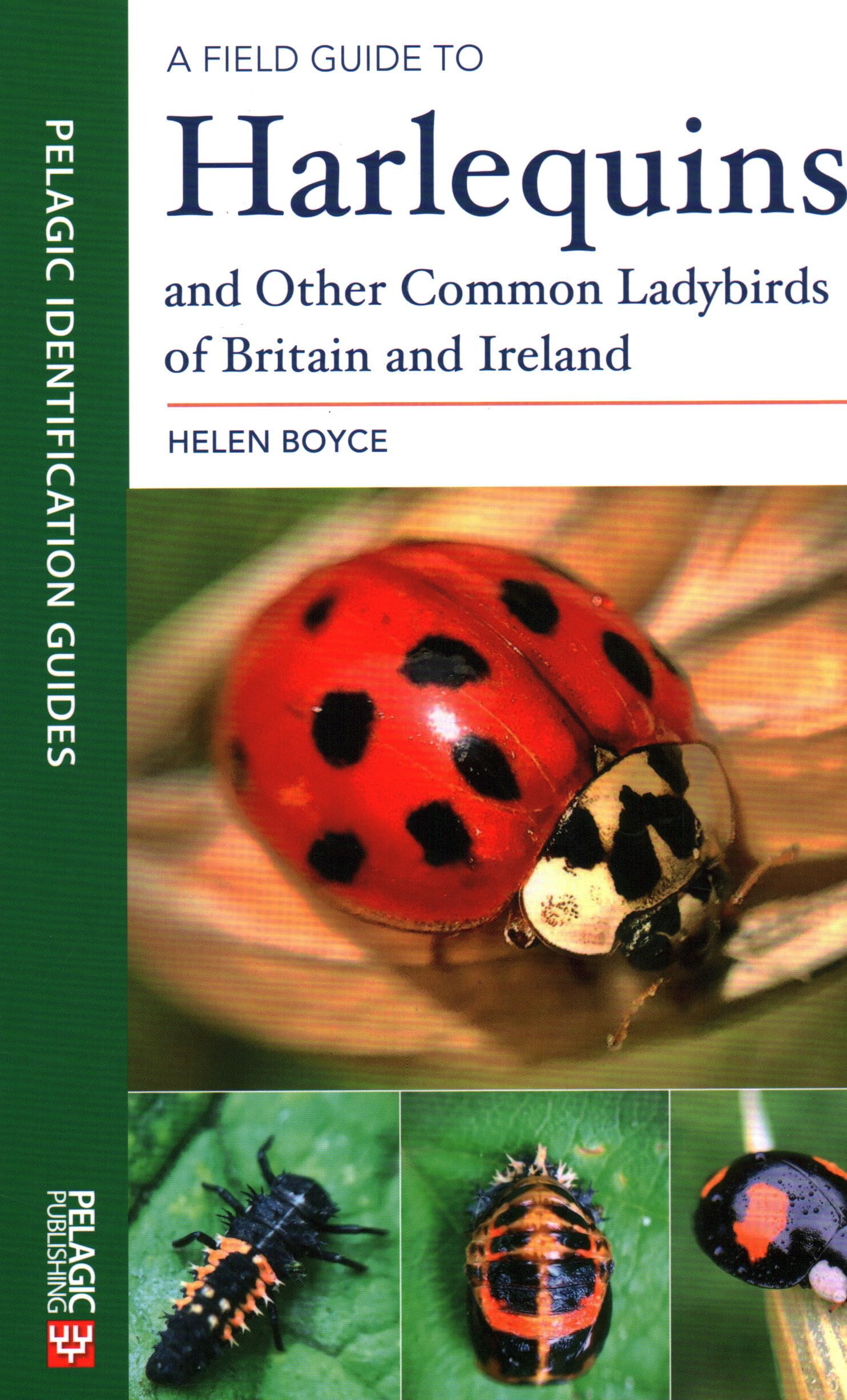 Field Guide to Harlequins and Common Ladybirds of Britain & Ireland - Perfect for Nature Enthusiasts, Gardeners, and Insect Identification