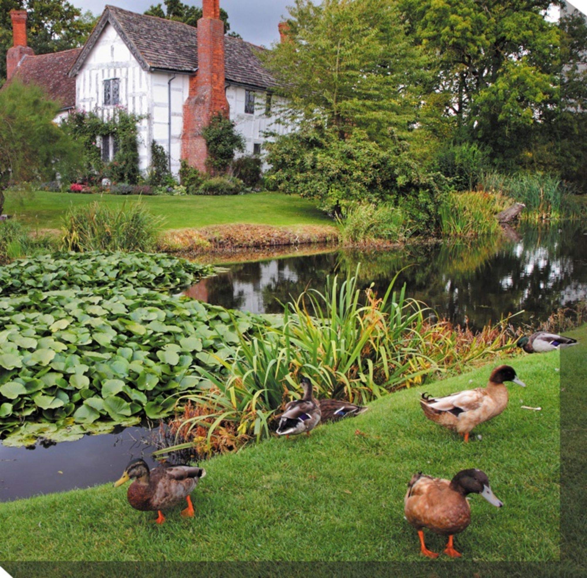 Green & Brown Duck Manor Outdoor Canvas Wall Art - 24x24 Inch Square Painting for Patio, Garden & Porch Decor - Waterproof Hanging Art for Home & Backyard