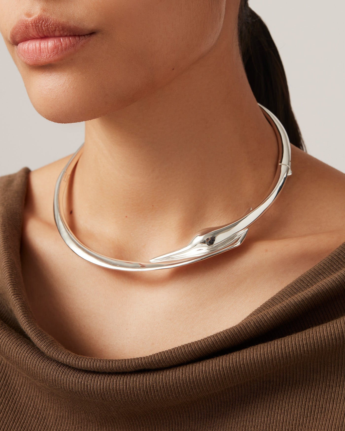 Colette Silver Dog Collar - Adjustable & Stylish Pet Collar for Small to Medium Dogs - Perfect for Daily Walks, Training & Outdoor Adventures