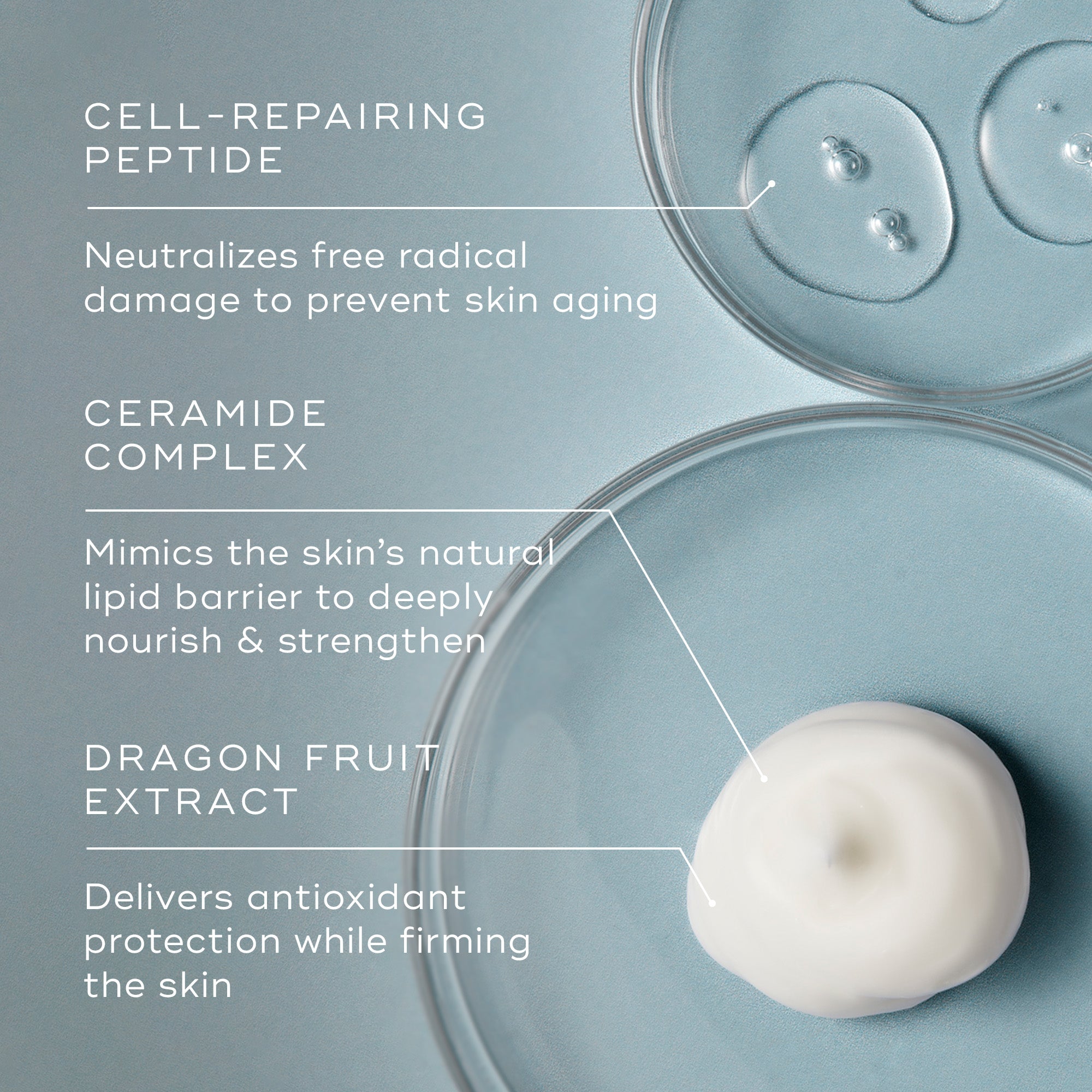 Advanced Night Ceramide Moisturizer (Travel Size) - Hydrating & Anti-Aging Face Cream for Dry Skin - Perfect for Overnight Repair & On-the-Go Skincare