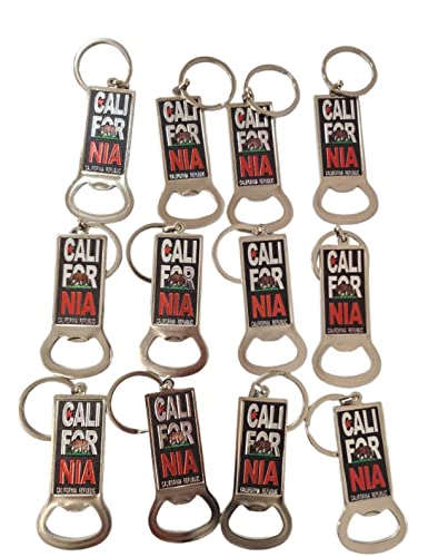 La License Plate Magnet