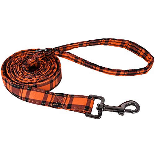 Orange grid