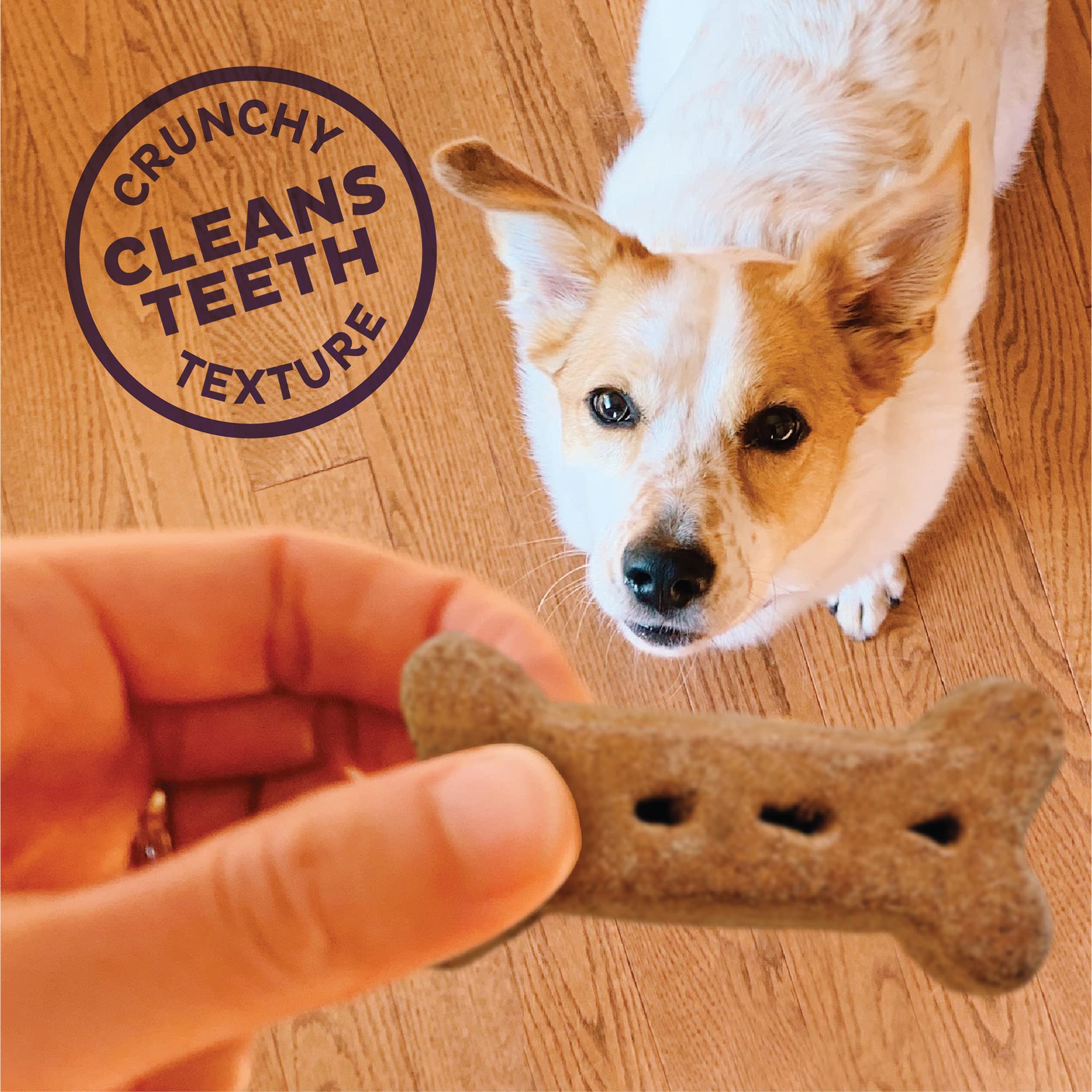 Old Mother Hubbard Wellness P-Nuttier Natural Peanut Butter Flavor Dog Training Treats - Large 20lb Box for Obedience Training & Reward Snacks