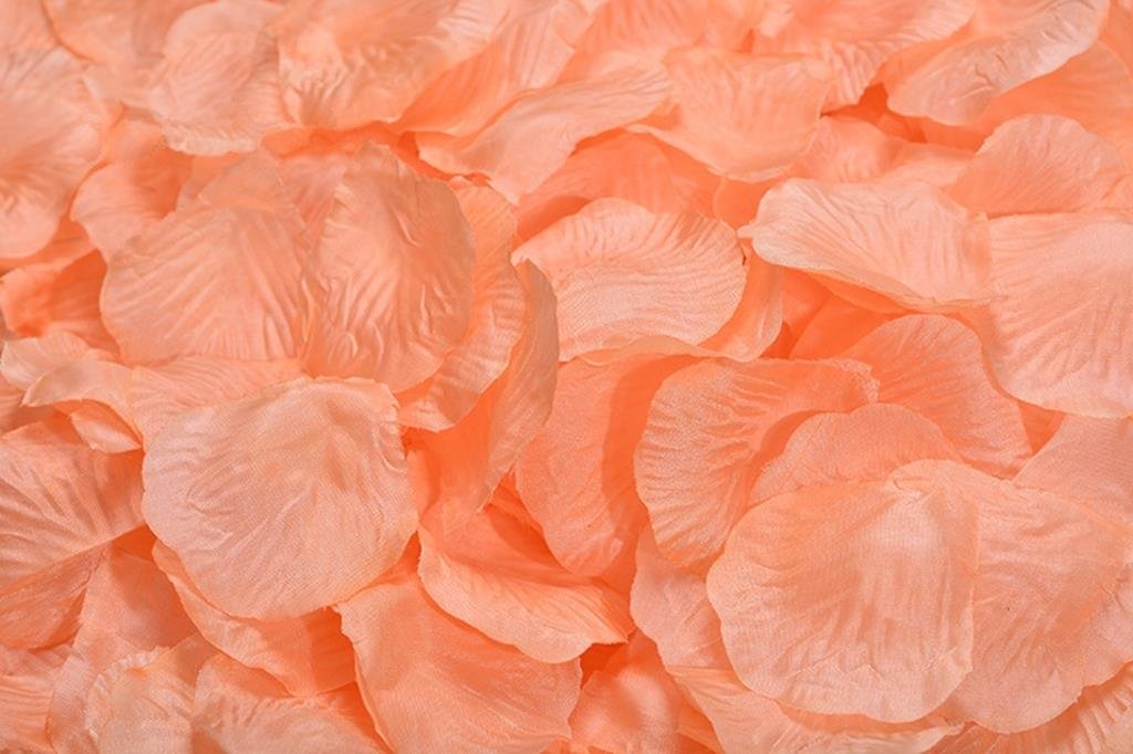 1000 Pcs Light Salmon Silk Rose Petals - Premium Wedding Flower Decorations for Aisle, Table Scatter & Romantic Events