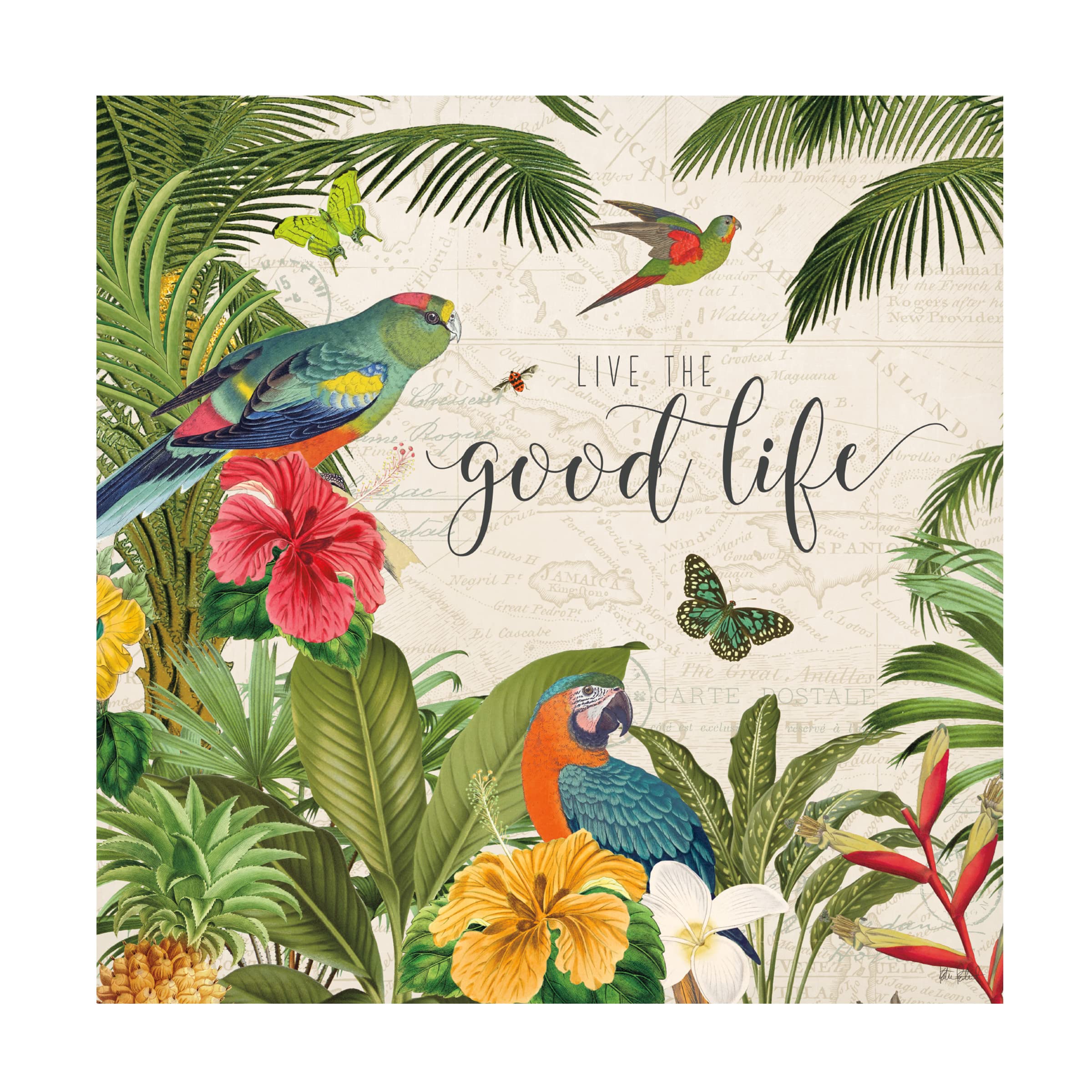 Katie Pertiet 'Parrot Paradise IV' Canvas Wall Art - Tropical Bird Painting for Living Room, Bedroom & Office Decor