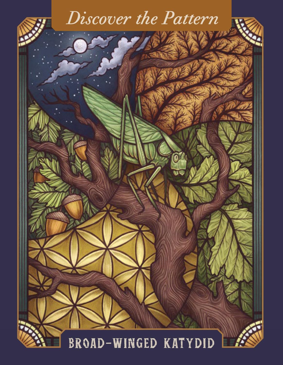 The Illustrated Bestiary Oracle Cards - 36-Card Deck of Inspiring Animals for Divination & Guidance | Wild Wisdom Oracle Deck for Meditation, Spiritual Growth & Intuitive Readings