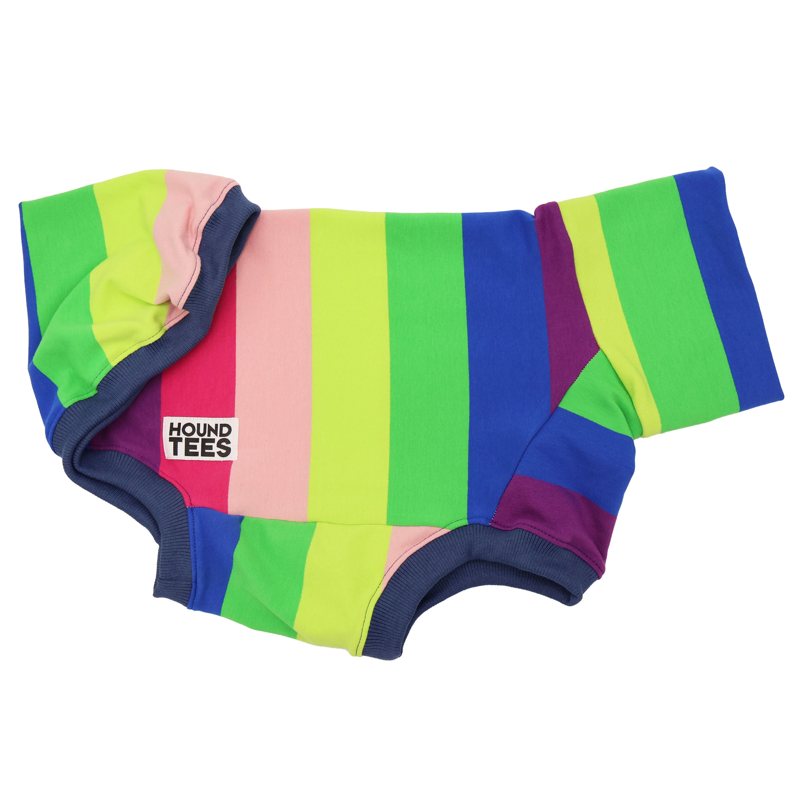 Sour Snakes Whippet Sleeveless Sweater - Trendy Dog Clothes for Small & Medium Breeds - Perfect for Outdoor Adventures & Photo Shoots