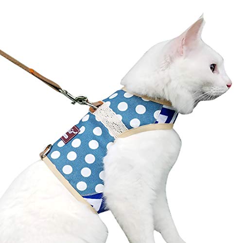 Blue Polka Dots