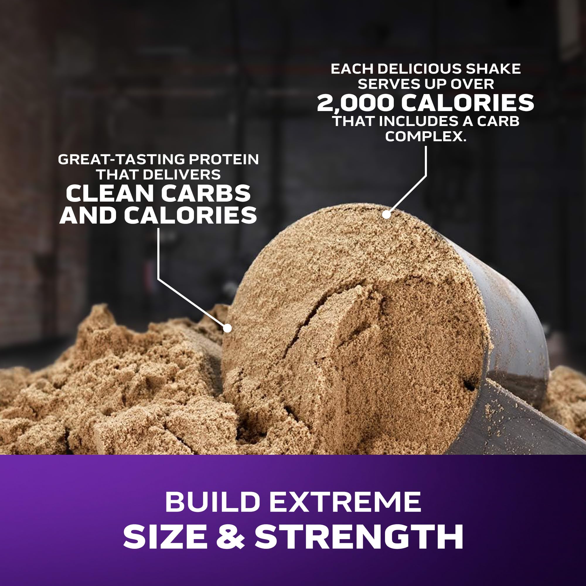 MuscleTech Mass Tech Extreme 2000 High-Protein Weight Gainer Powder (Triple Chocolate Brownie, 6LB) - Muscle Building Supplement for Strength & Recovery - Perfect for Post-Workout Shakes & Bulking Season