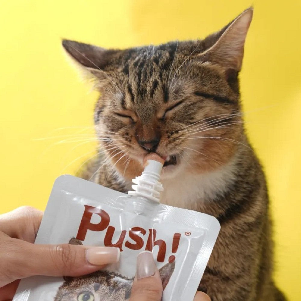 Premium Cat Treats - Strong Bone Protection with Three Fish Mousse Paste in Convenient Pouches - Perfect for Training, Rewards & Senior Cat Nutrition