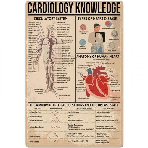 Cardiology Knowledge Canvas Prints - Medical Classroom Wall Art Decor | Vintage Anatomy Infographics Poster for Doctors Office, Study Room & Bedroom | 12x16 Inch Educational Artwork