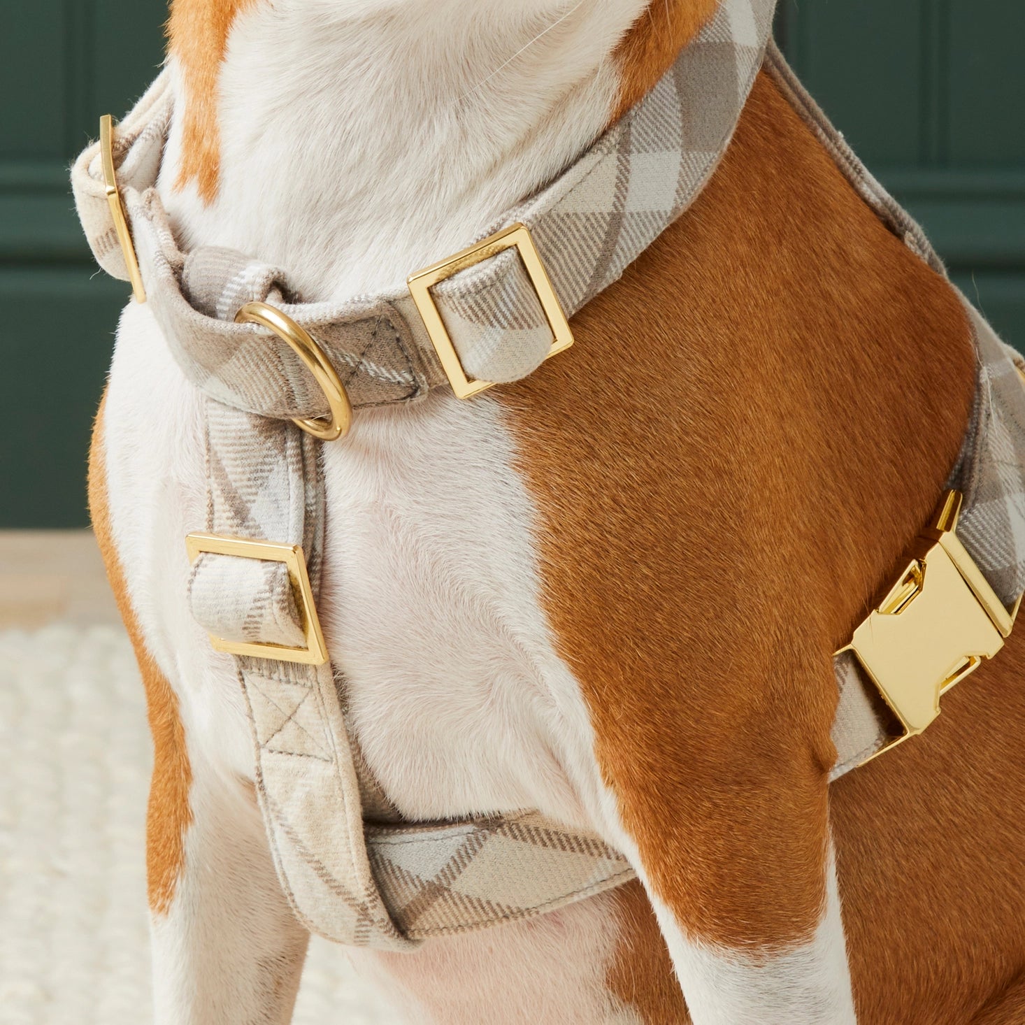 Andover Plaid Dog Harness - Adjustable Pet Harness for Small to Medium Dogs - Comfortable & Stylish for Walking, Hiking, and Outdoor Adventures
