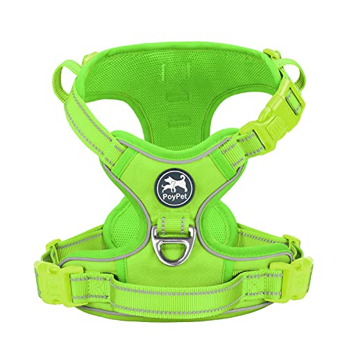 Green(Matching Trim)
