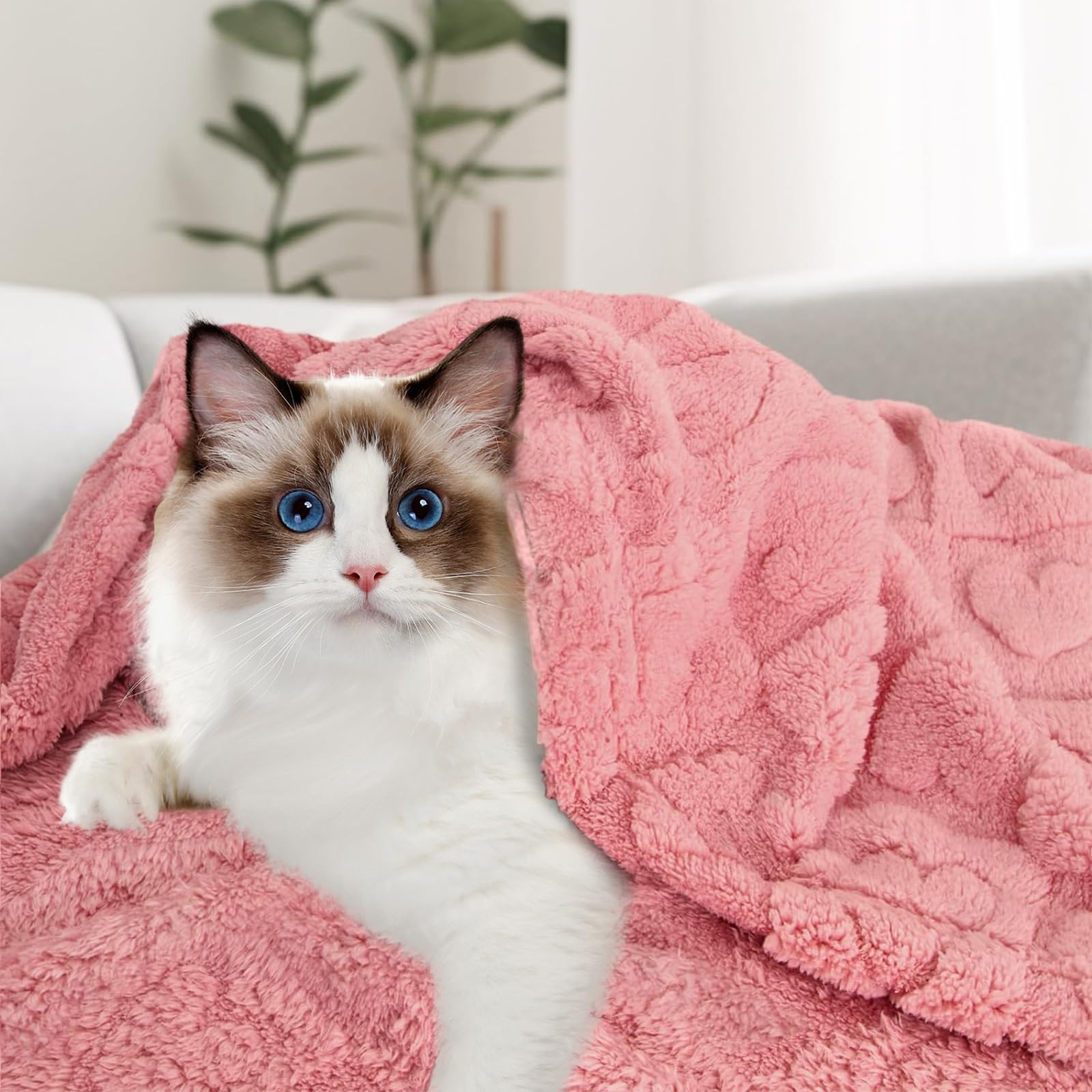 Fluffy Fleece Dog Blanket - Warm Pet Throw for Dogs & Cats - Sofa & Travel Use (24x29
