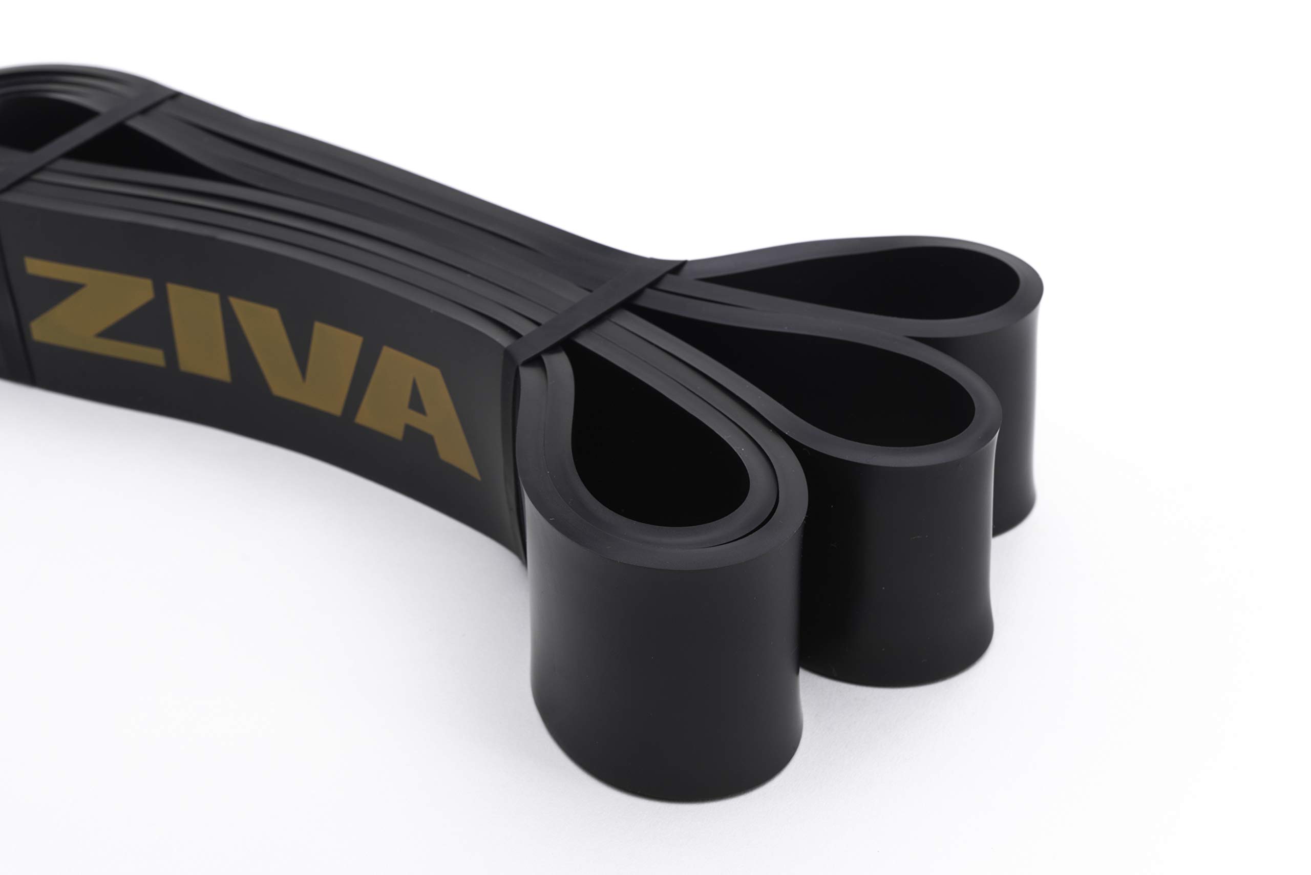 Ziva PRO Portable Resistance Band - Heavy Duty Pull Up Assistance Bands for Home Workouts, Strength Training, Physical Therapy & Stretching - Extra Heavy Resistance (44-66 lbs), 41 Inch Length - Perfect for Gym, Yoga, CrossFit & Rehabilitation Exercises