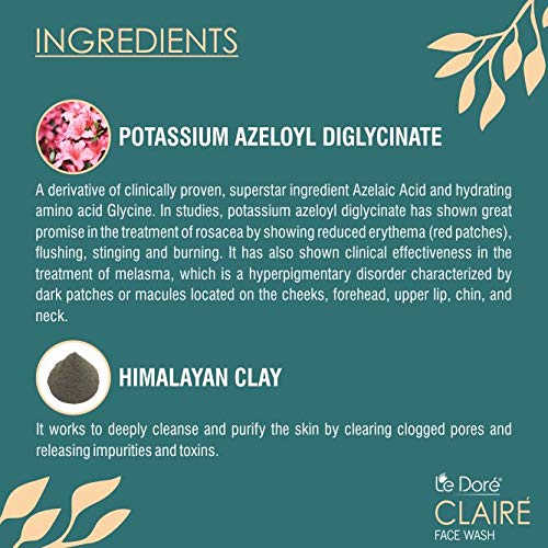 Le Dore Claire 3-in-1 Anti-Acne Clay Face Wash with Zinc PCA, Witch Hazel & Tea Tree Oil - Deep Cleansing, Reduces Breakouts & Blemishes, Rejuvenates Skin - 60g for Oily, Acne-Prone & Sensitive Skin | Perfect for Daily Skincare Routine & Post-Workout Cleansing