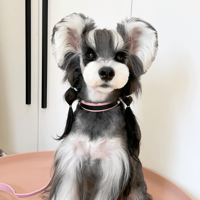 Premium Slim Flamingo Leather Dog Collar - Adjustable & Stylish Pet Accessory for Small to Medium Dogs - Perfect for Daily Walks, Training & Fashion Outfits