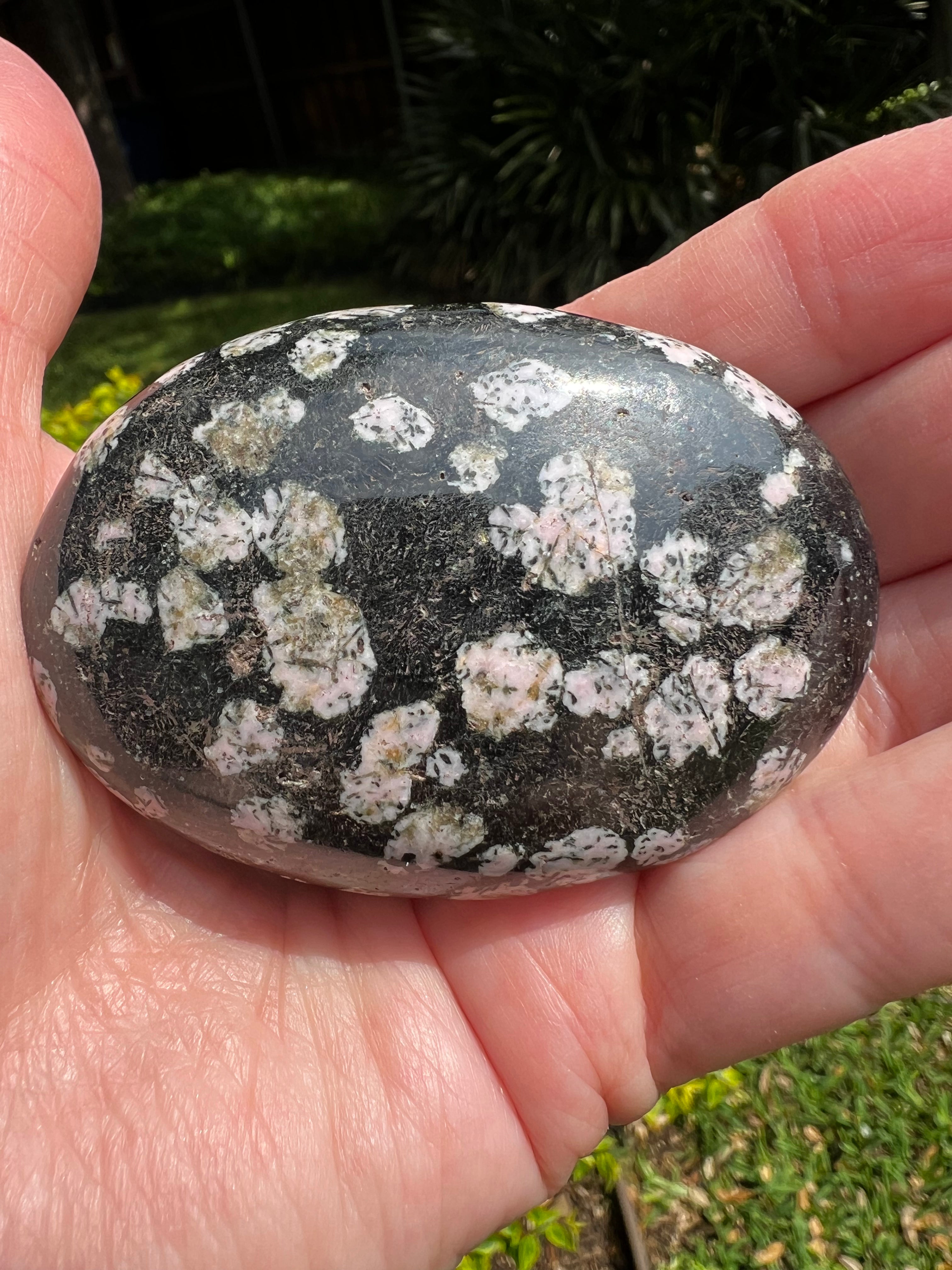 Snowflake Obsidian Palm Stone 2.5
