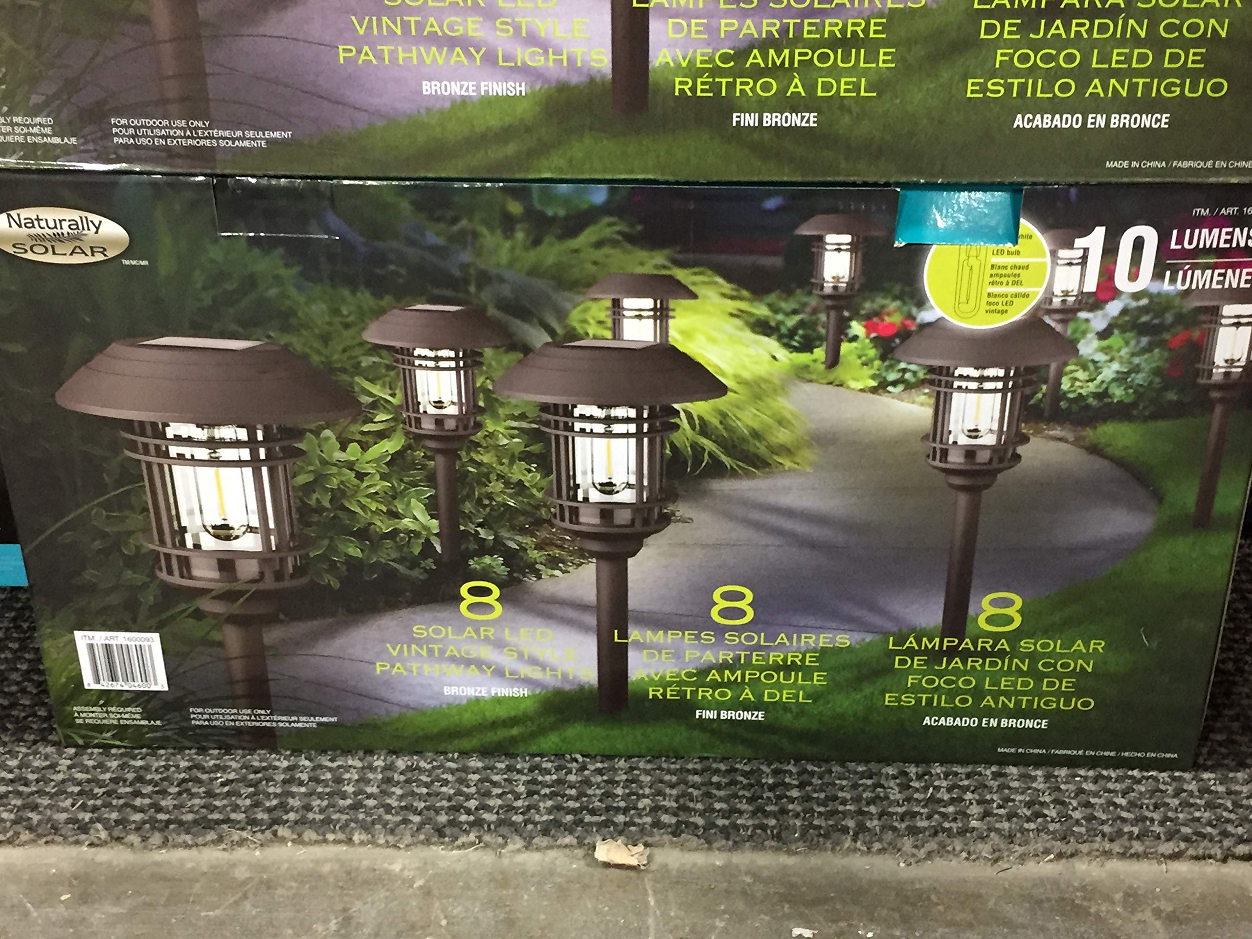 8 Pack Solar LED Vintage Pathway Lights - Bronze Finish Outdoor Garden Lighting for Walkways, Driveways & Landscaping