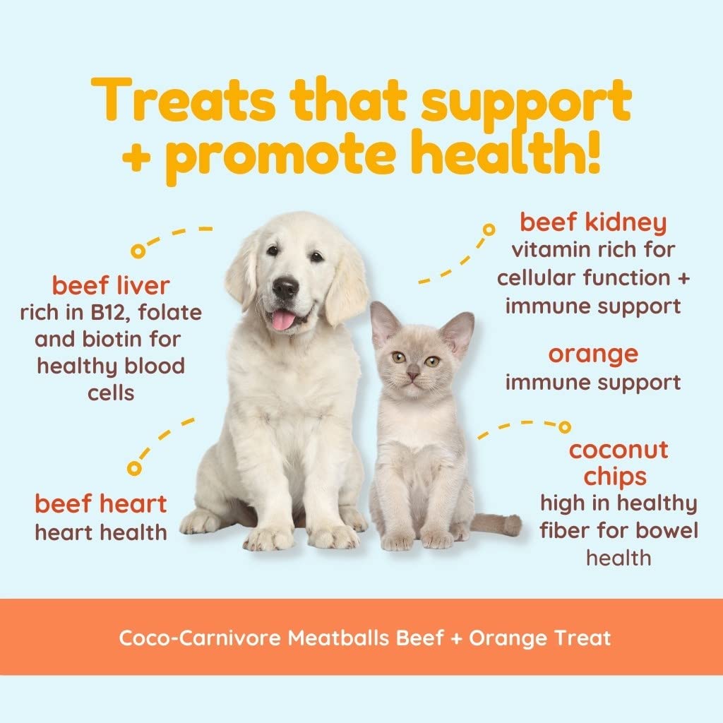 CocoTherapy 3 Pack of Coco-Carnivore Meatballs Dog Treats - Grain Free, All Natural Beef Flavor - Perfect for Training, Rewards & Dental Health