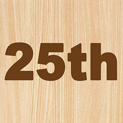 25th Anniversary