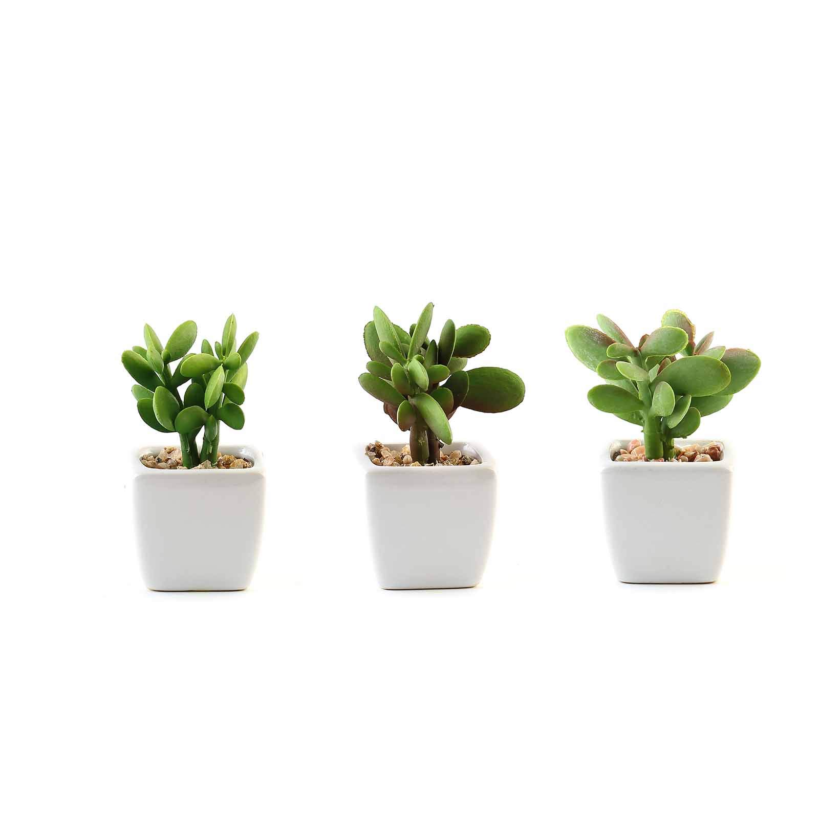 Artificial Succulent Plants Set of 3 - Mini Fake Jade Succulents in Ceramic Pots for Home Office Desk Decor, Wedding Centerpieces & Shelf Displays