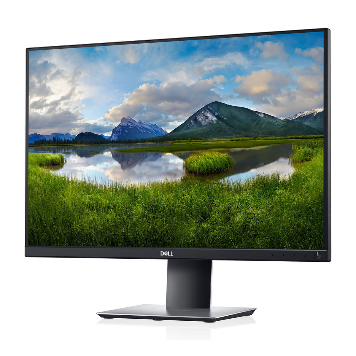 Dell P2421 24-inch FHD IPS Monitor - 1920x1080 Resolution, 60Hz Refresh Rate, VESA Mountable - Perfect for Home Office, Gaming & Professional Workstations