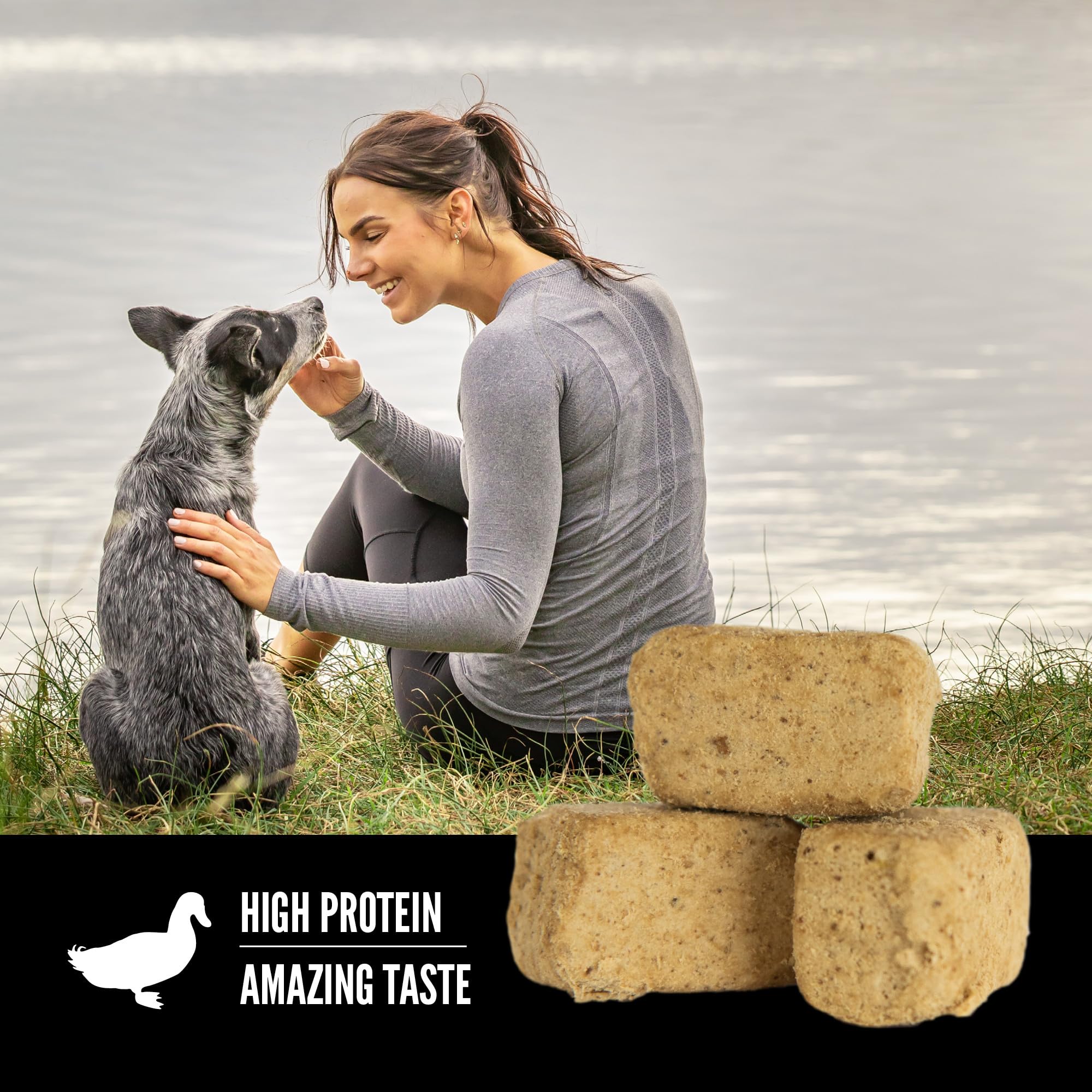 ORIJEN Freeze Dried Duck Recipe Dog Treats - Grain Free, High Protein, 3.25oz - Perfect for Training, Rewards & Dental Health