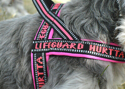 Hurtta Padded Dog Harness - Adjustable & Reflective, Multiple Colors for Small Medium Large Dogs - Perfect for Walking, Hiking & Outdoor Adventures
