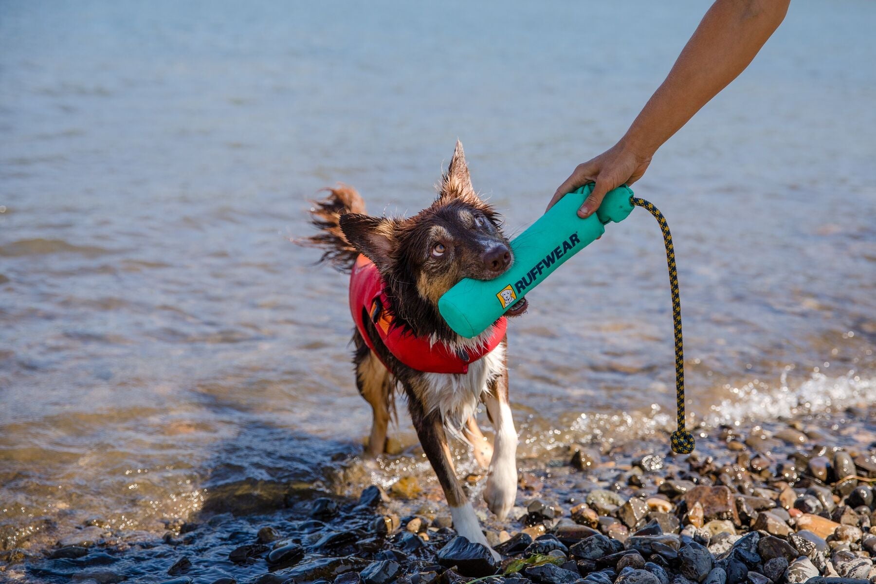 Ruffwear Lunker Floating Foam Dog Toy for Water Play - Campfire Orange, Durable & Fun Chew Toy for Swimming, Fetch & Outdoor Adventures