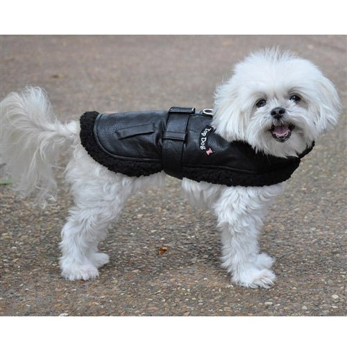 Black Top Dog Flight Coat with Leash - Warm Winter Dog Jacket for Small to Medium Dogs - Perfect for Outdoor Adventures, Travel & Cold Weather Protection